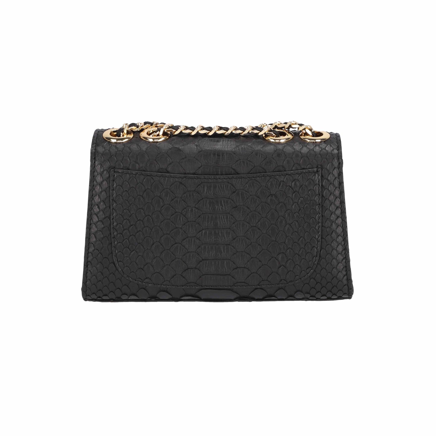 Black - Clutch Python