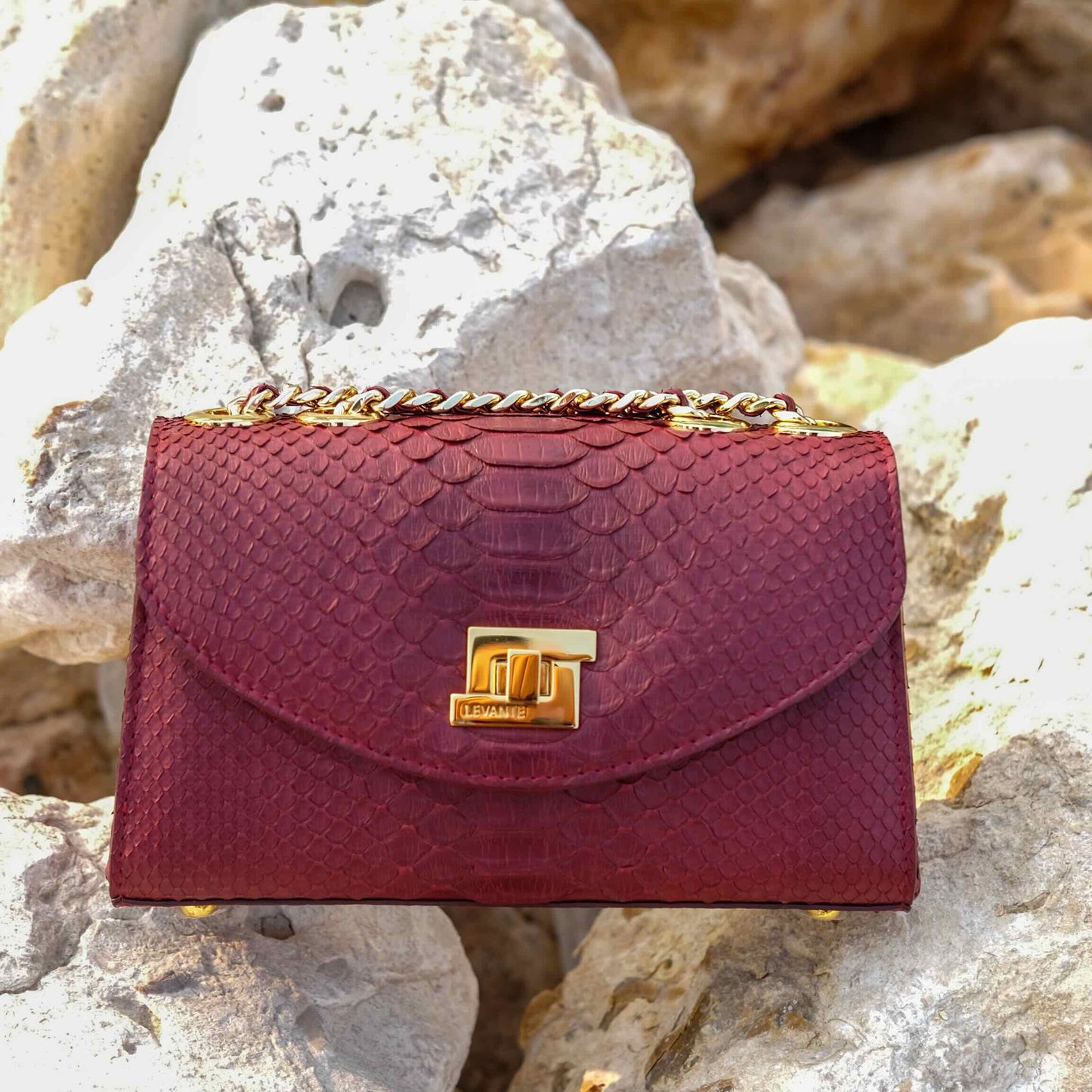Burnt Red - Clutch Python