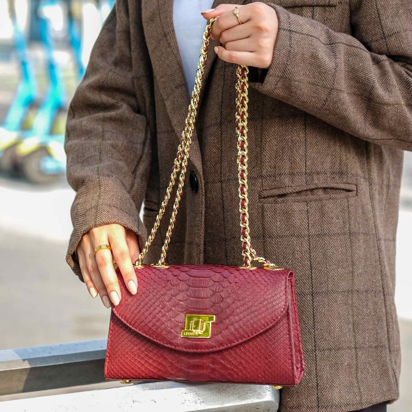 Burnt Red - Clutch Python