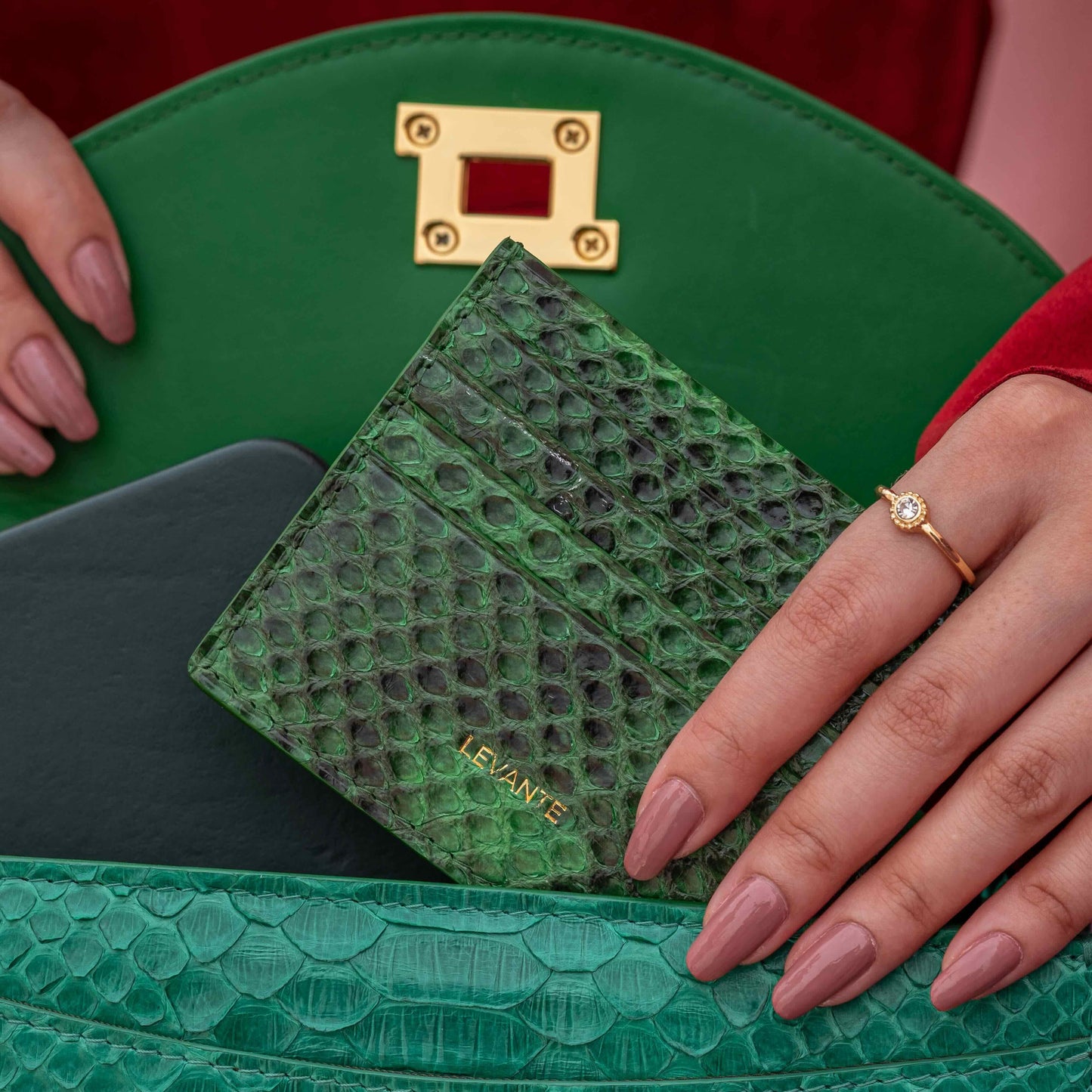 Dark Green Shiny - Card Holder Python