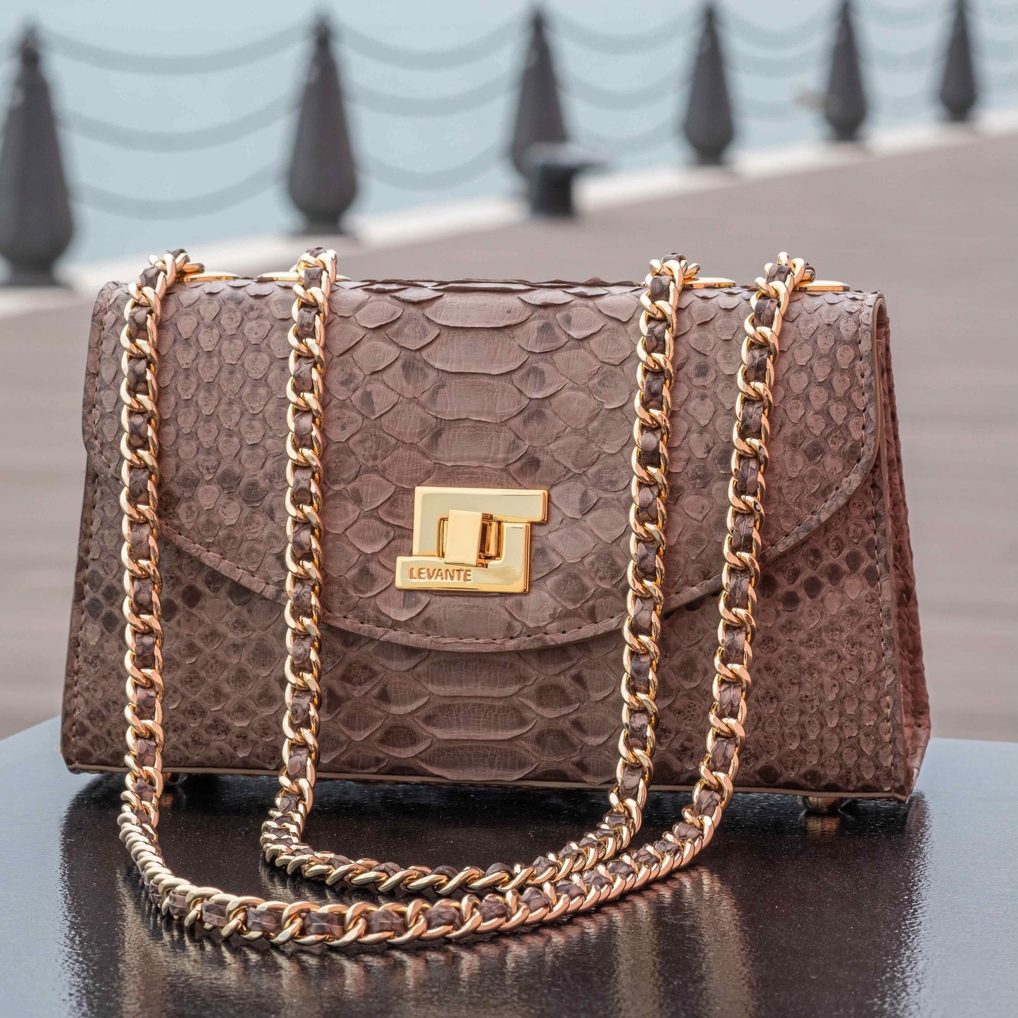 Gray Matt- Clutch Python