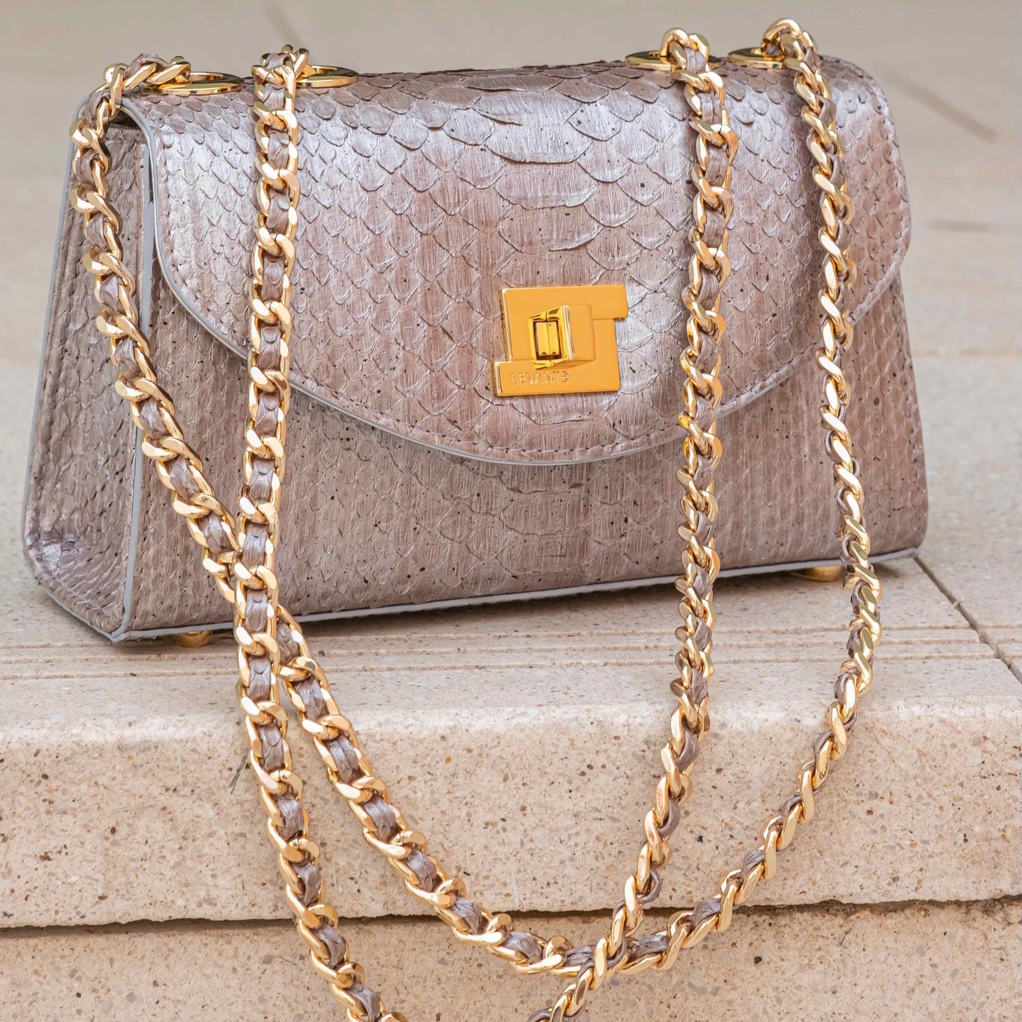 Magic Silver - Clutch Python