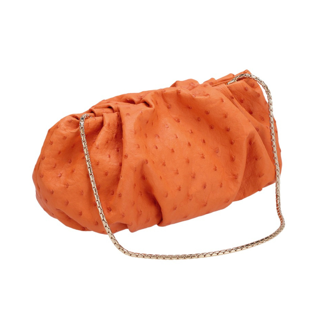 Tangerine Pouch Ostrich Levante luxury
