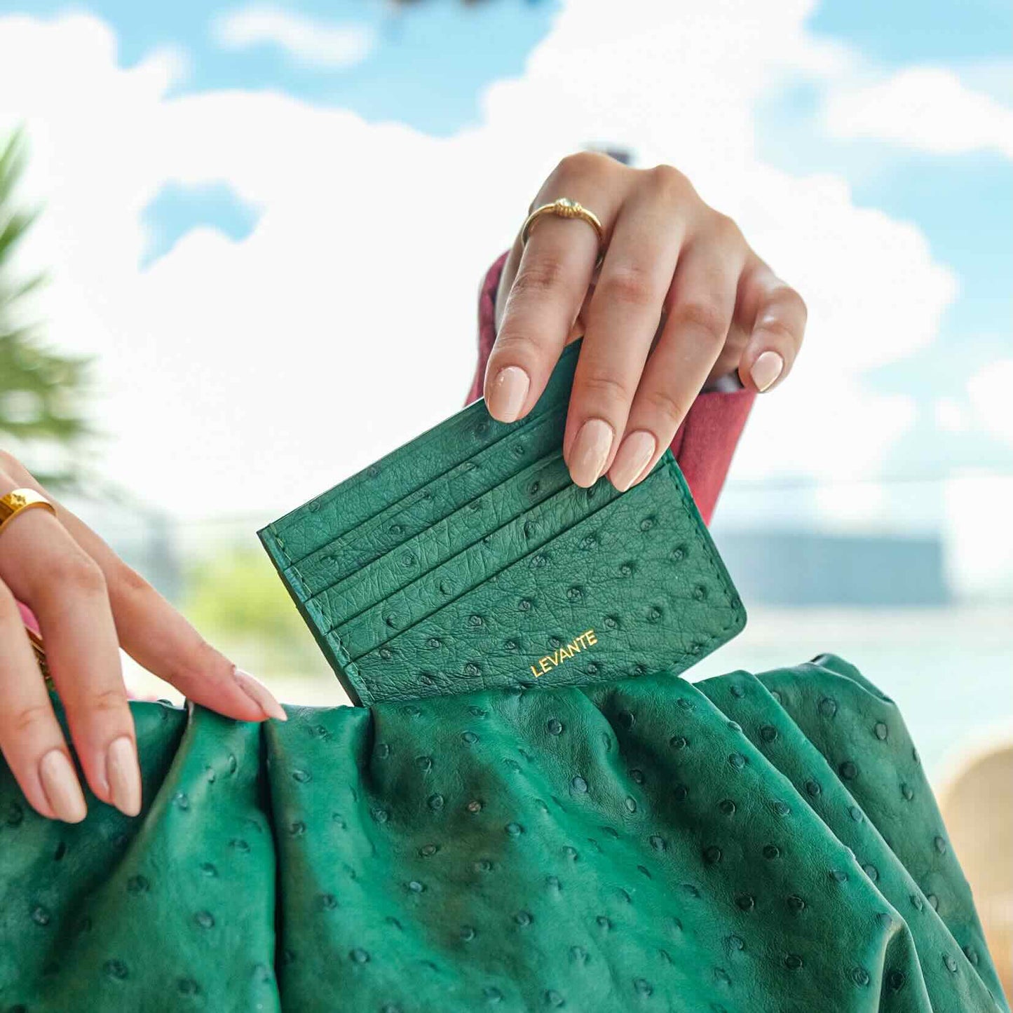 Dark Green - Card Holder Ostrich