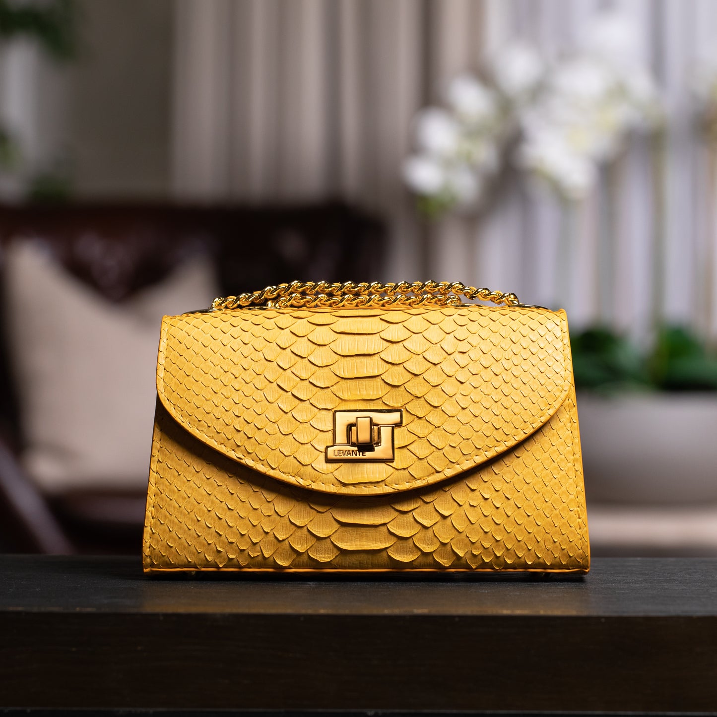 Mustard Yellow - Clutch Python