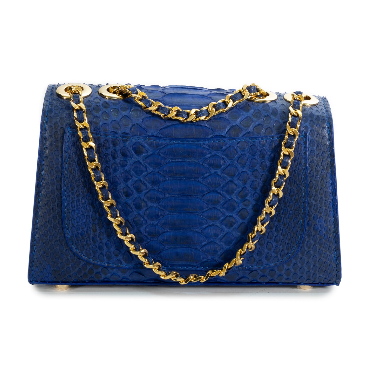 Blue Matt - Clutch Python