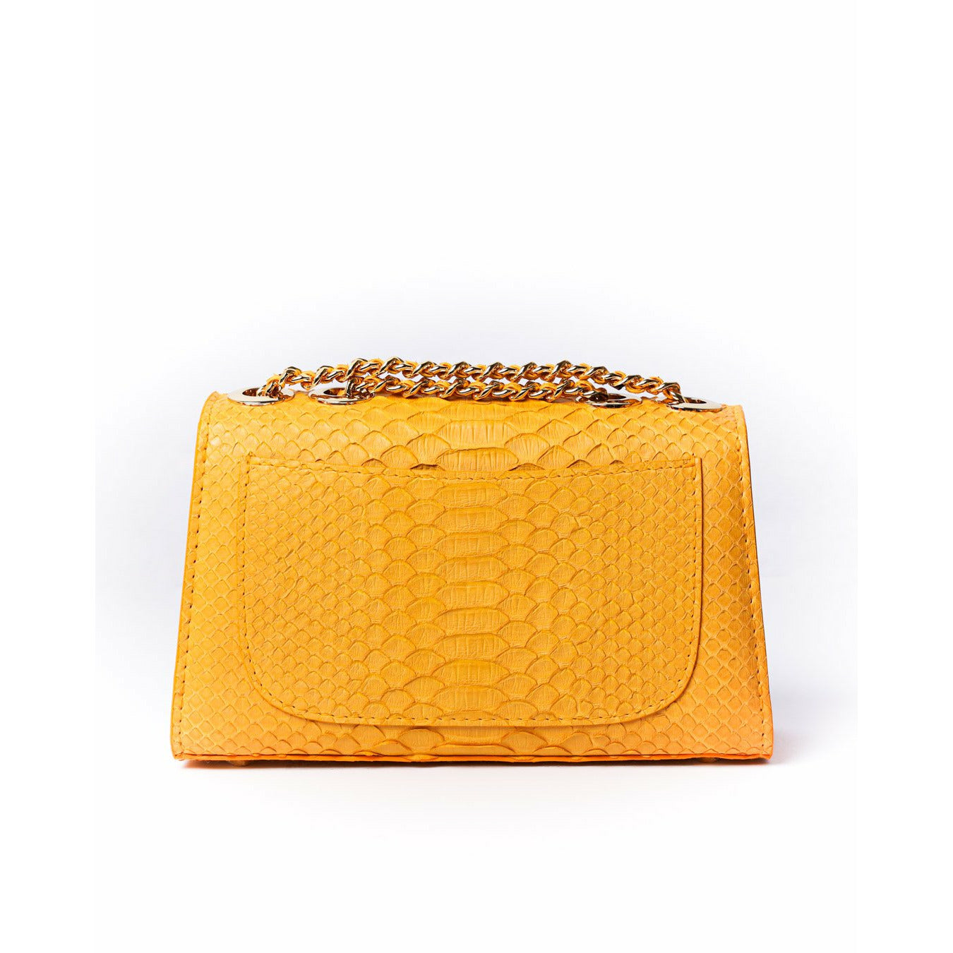 Mustard Yellow - Clutch Python