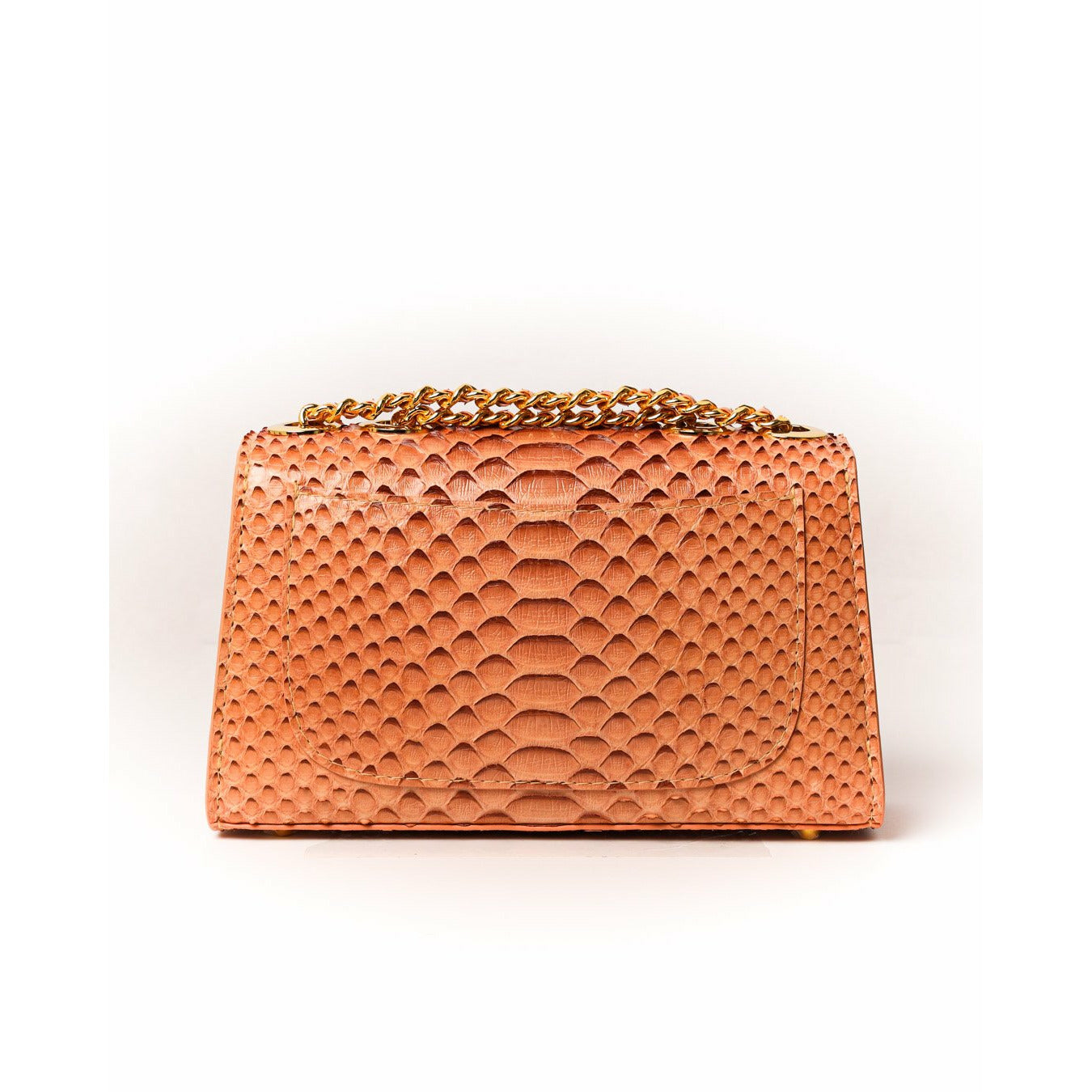 Magic Rose - Clutch Python