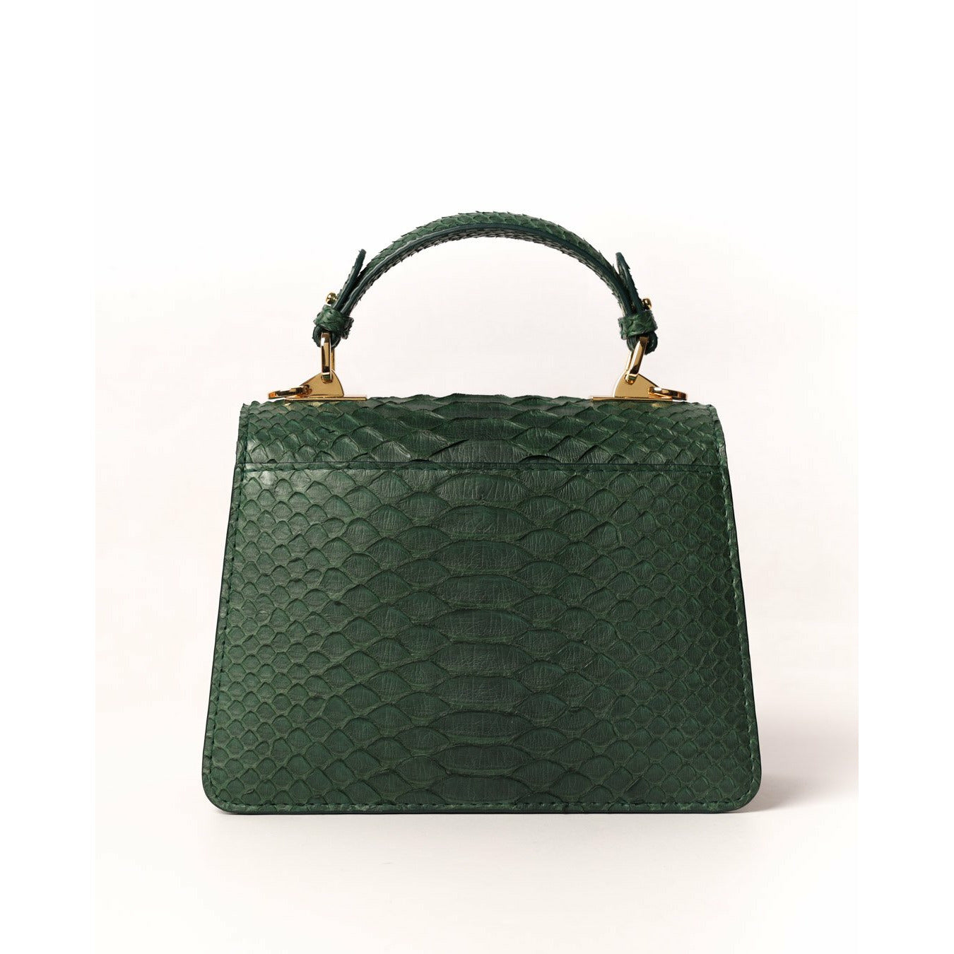 Dark Green - Classic Python