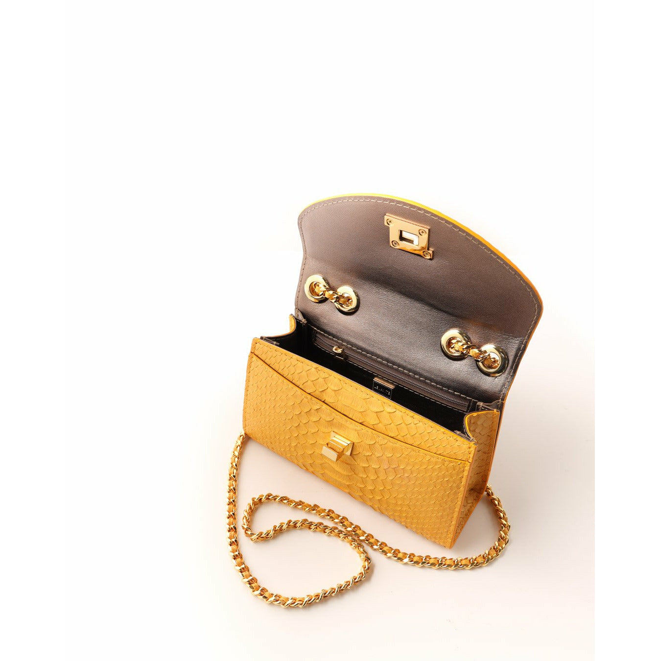 Mustard Yellow - Clutch Python
