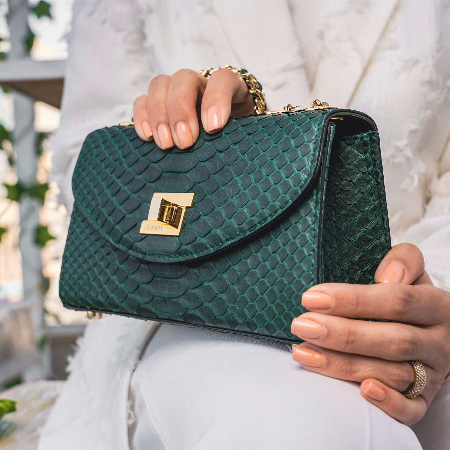 Dark Green - Clutch Python
