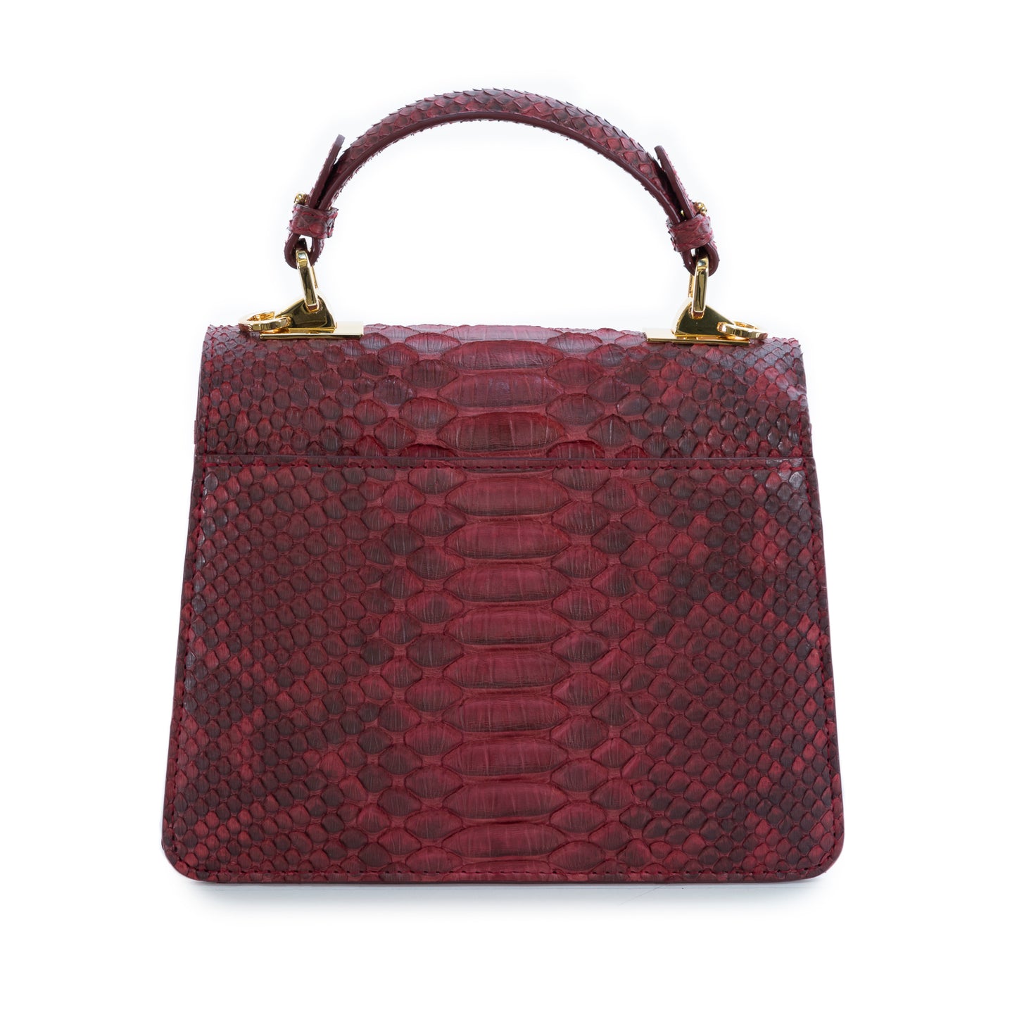 Maroon- Classic Python
