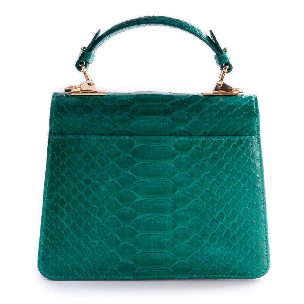 Shiny Green - Classic Python