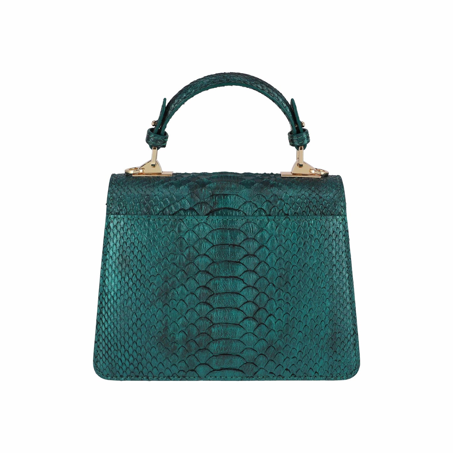 Mica Green- Classic Python