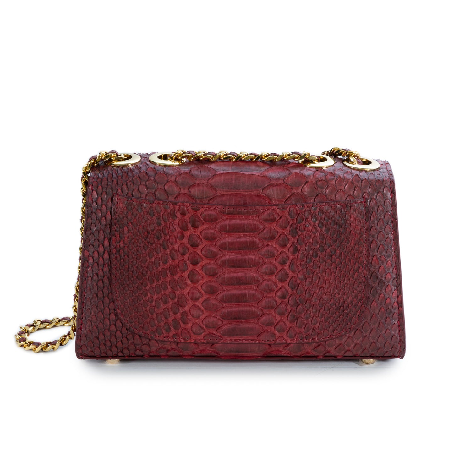 Maroon- Clutch Python