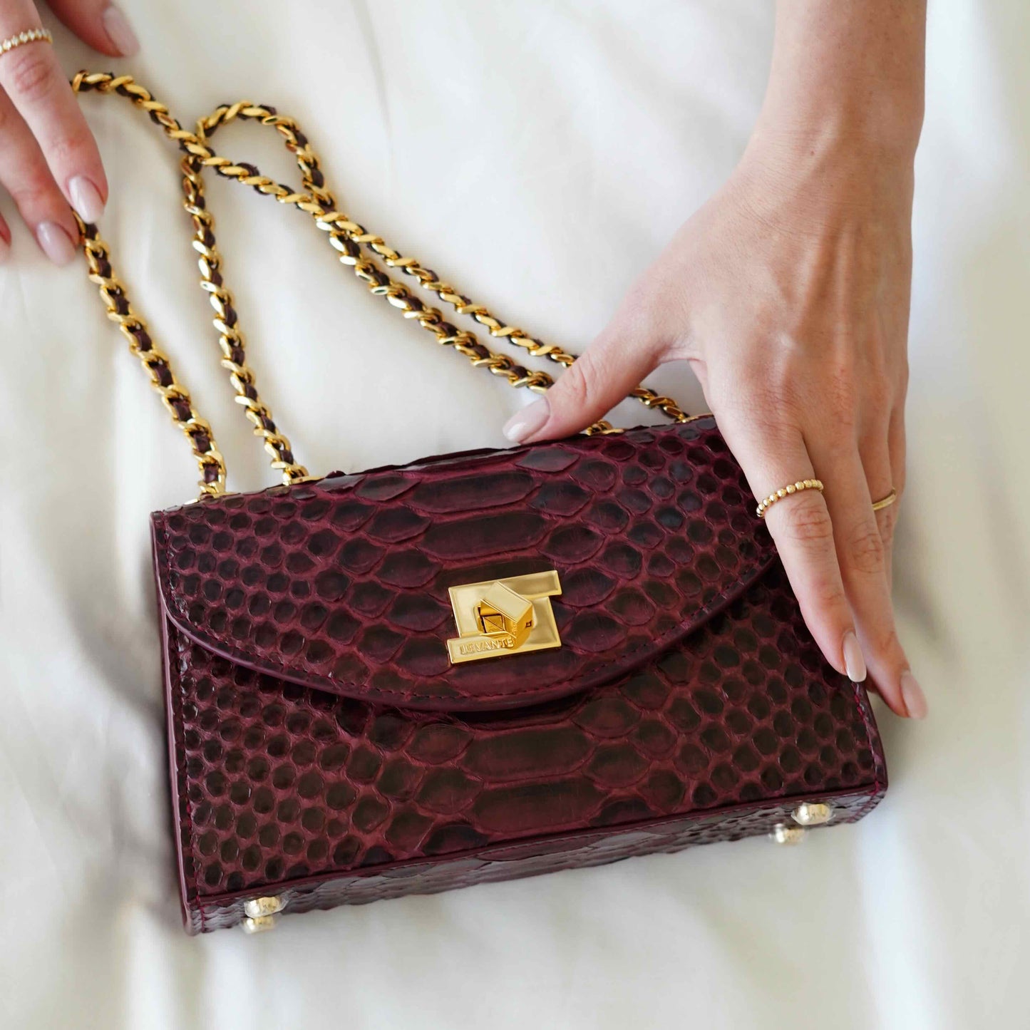 Shiny Maroon - Clutch Python