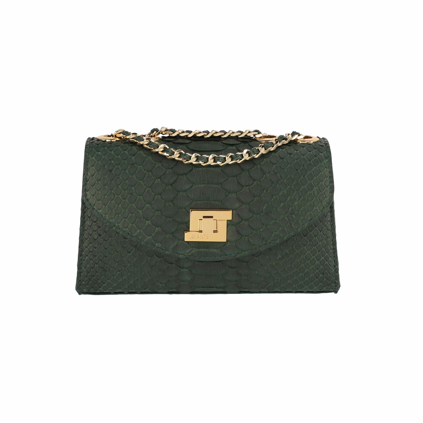 Dark Green - Clutch Python