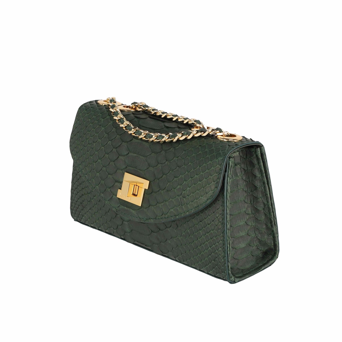 Dark Green - Clutch Python