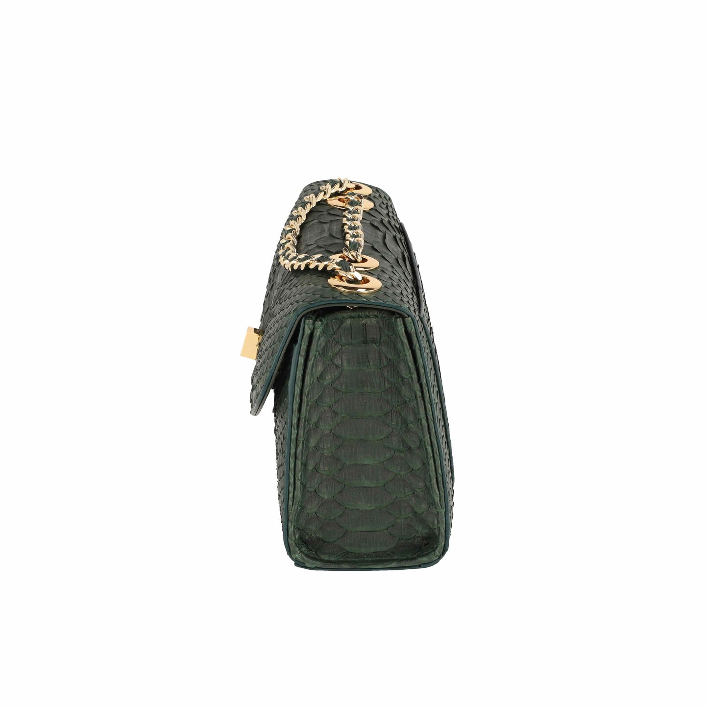 Dark Green - Clutch Python