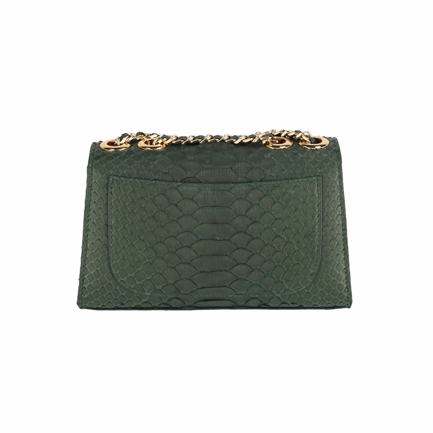 Dark Green - Clutch Python