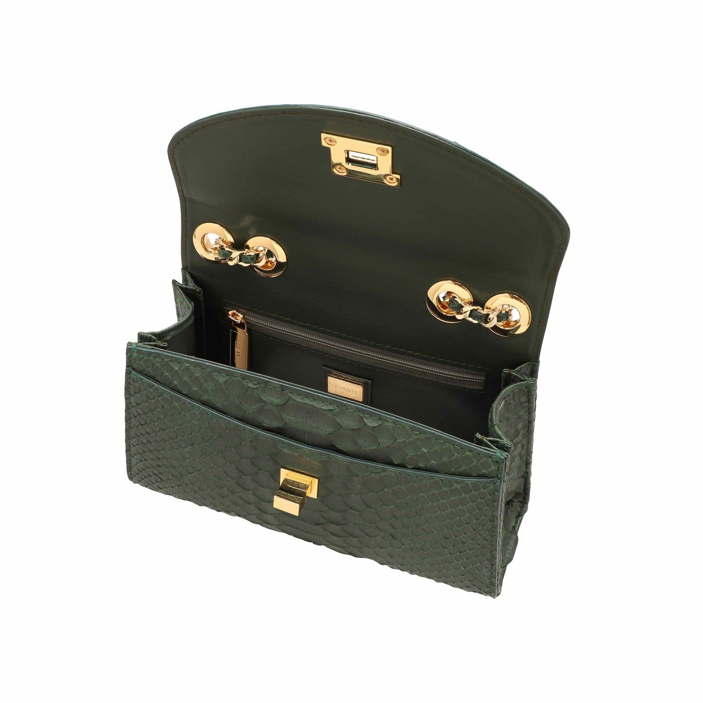Dark Green - Clutch Python