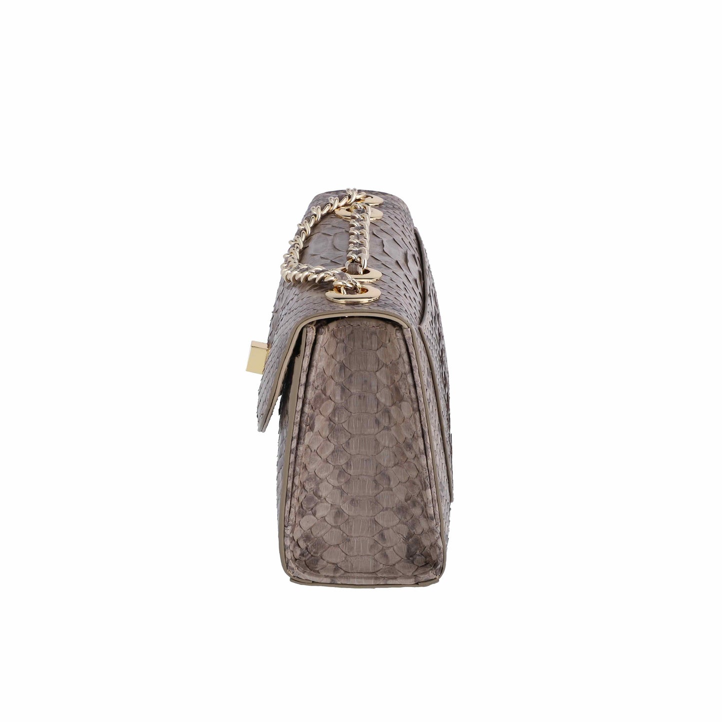 Gray Matt- Clutch Python