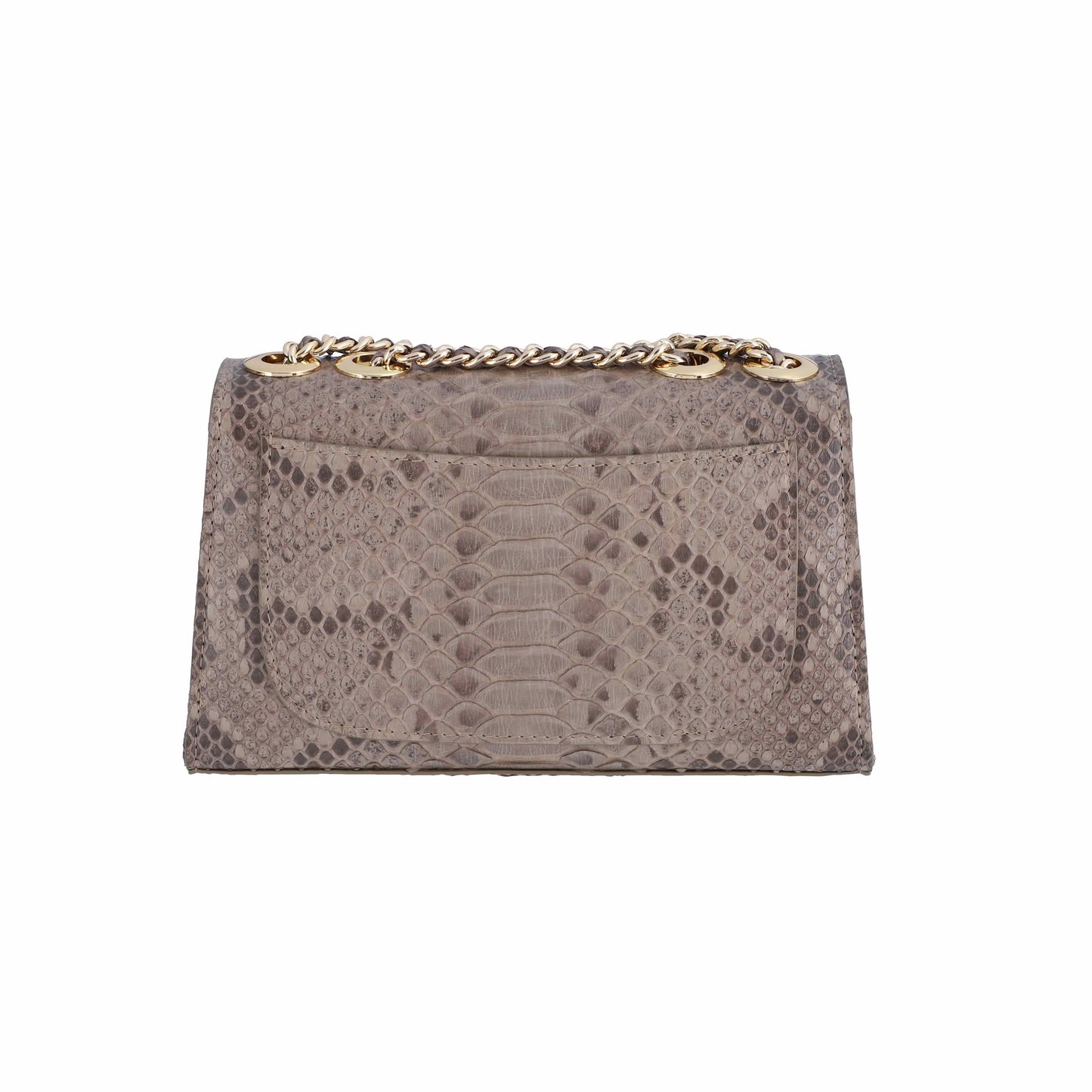 Gray Matt- Clutch Python