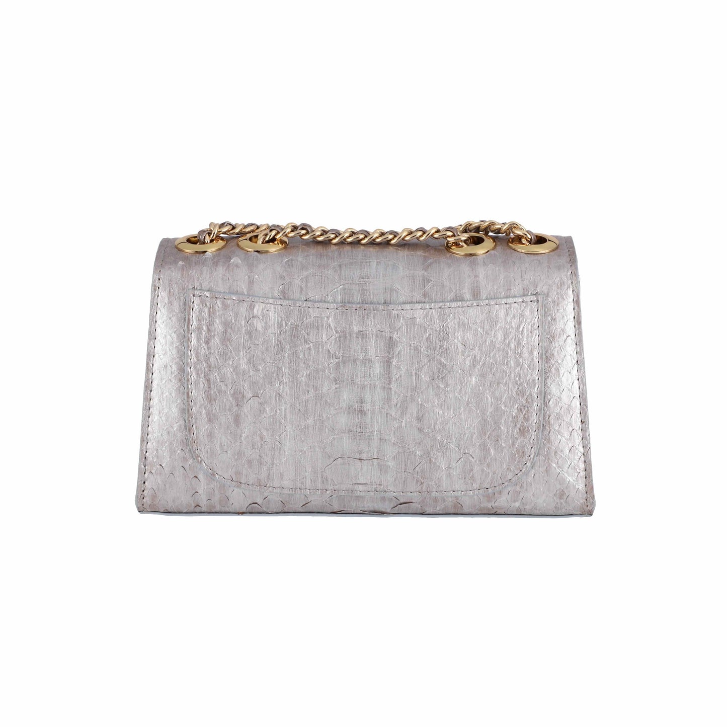 Magic Silver - Clutch Python