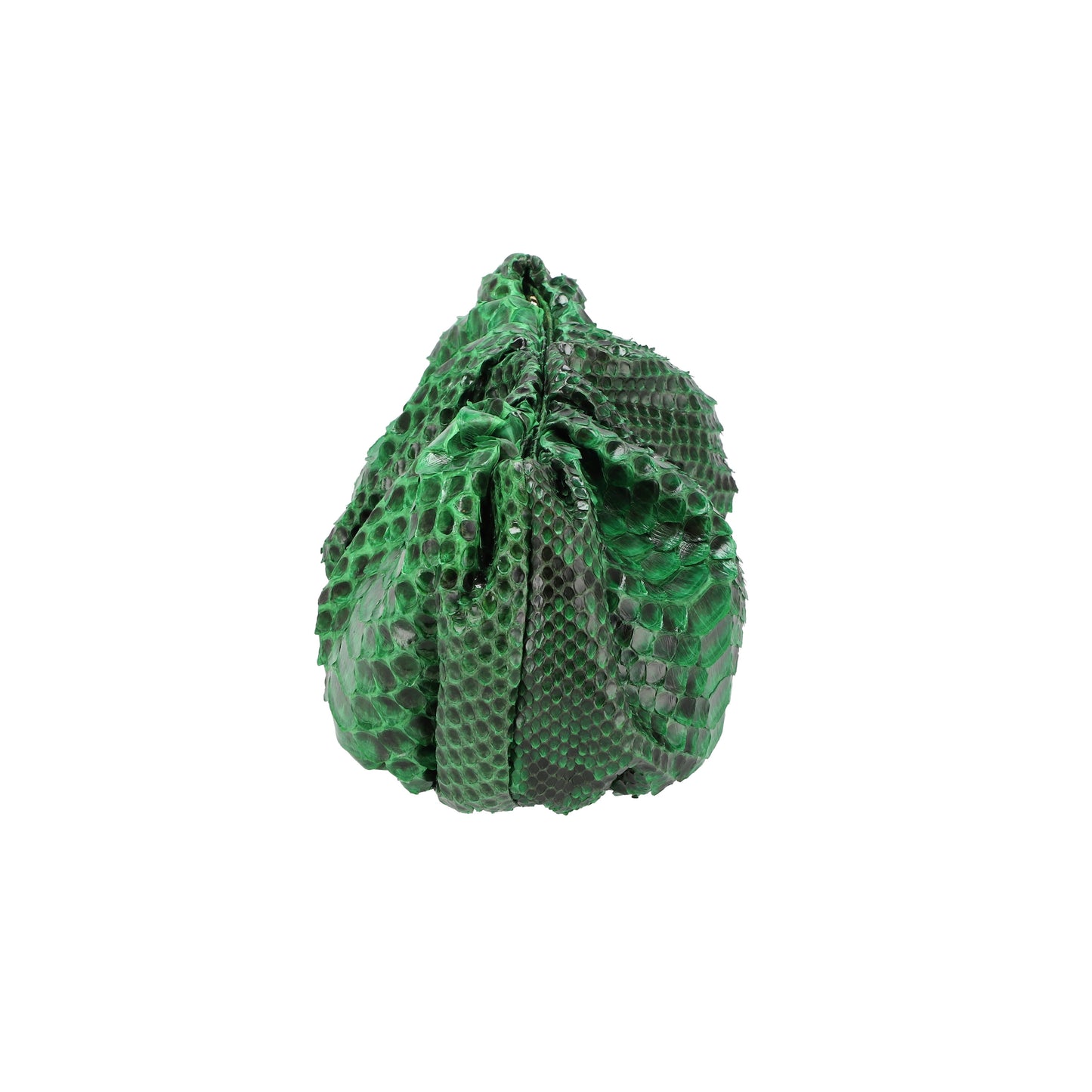 Dark Green Shiny - Pouch Python