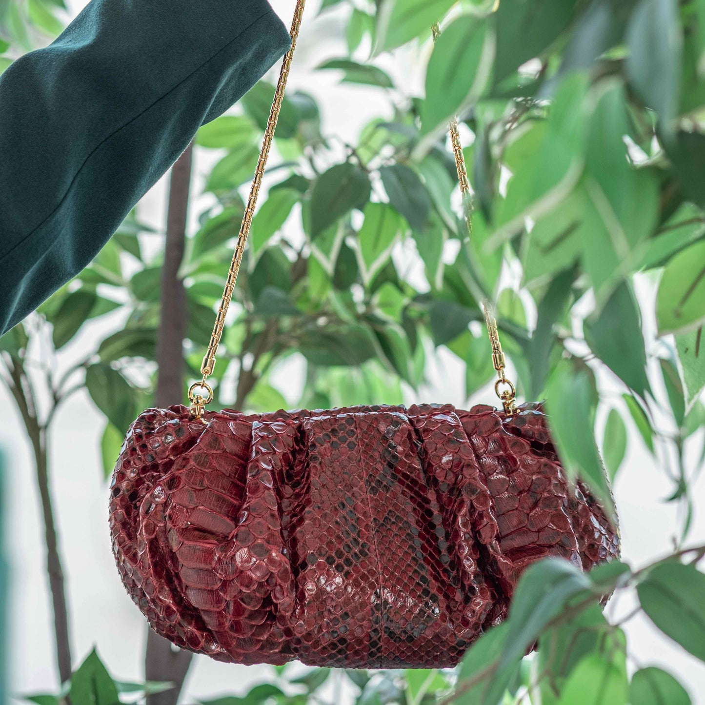 Crimson Red - Pouch Python