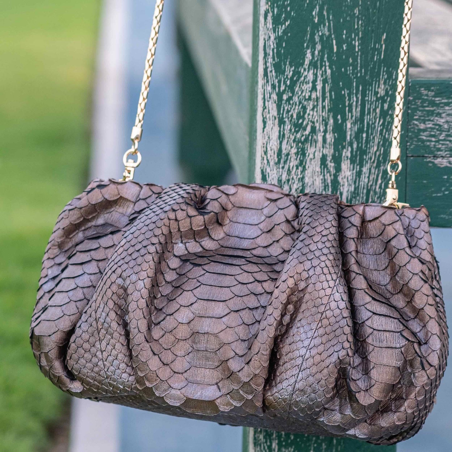 Bronze - Pouch Python