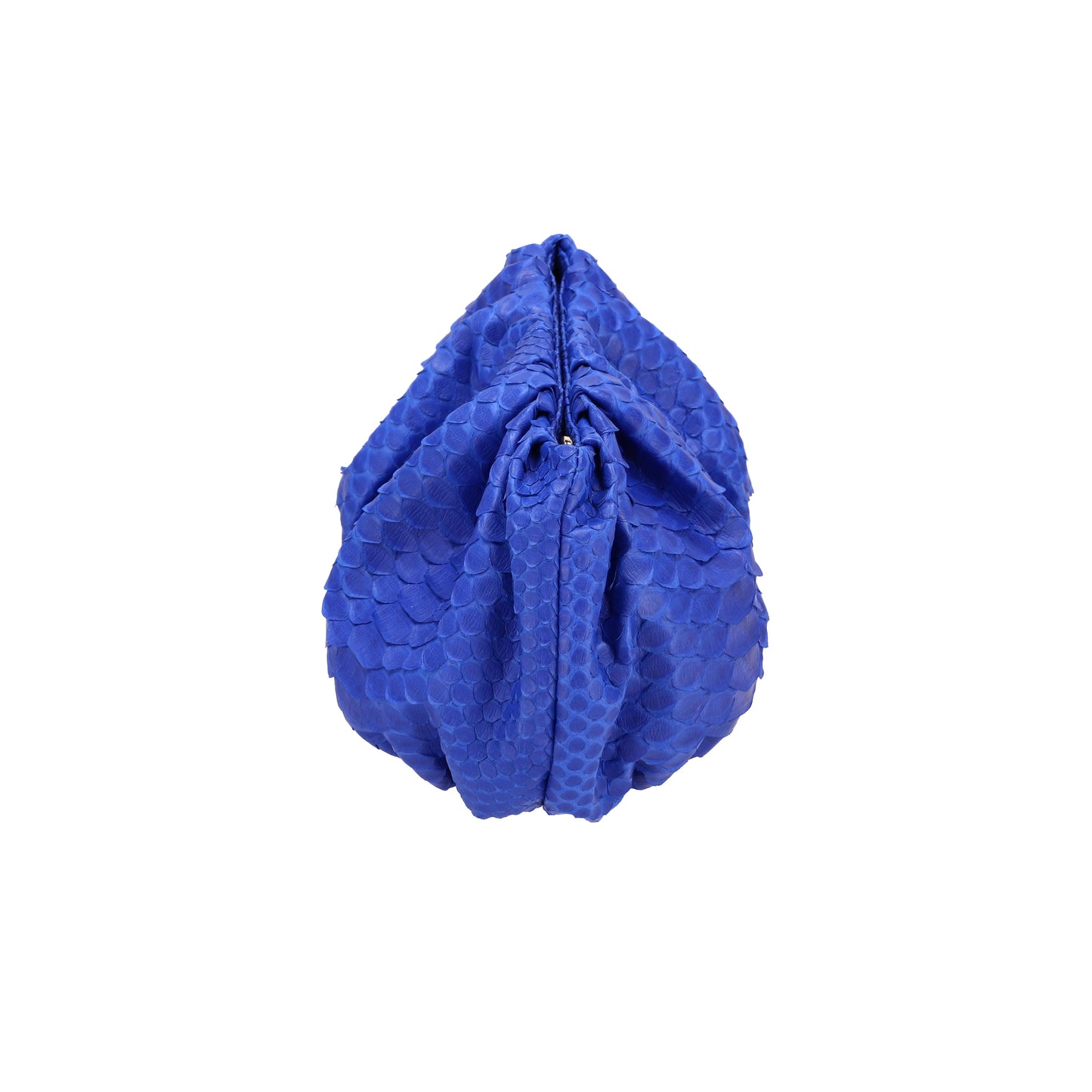 Electric Blue - Pouch Python