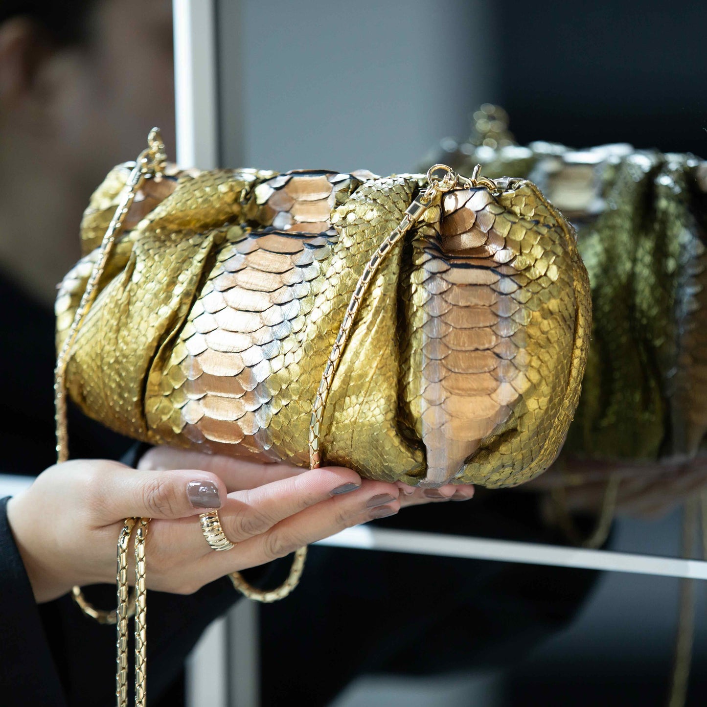 Emperor Gold - Pouch Python