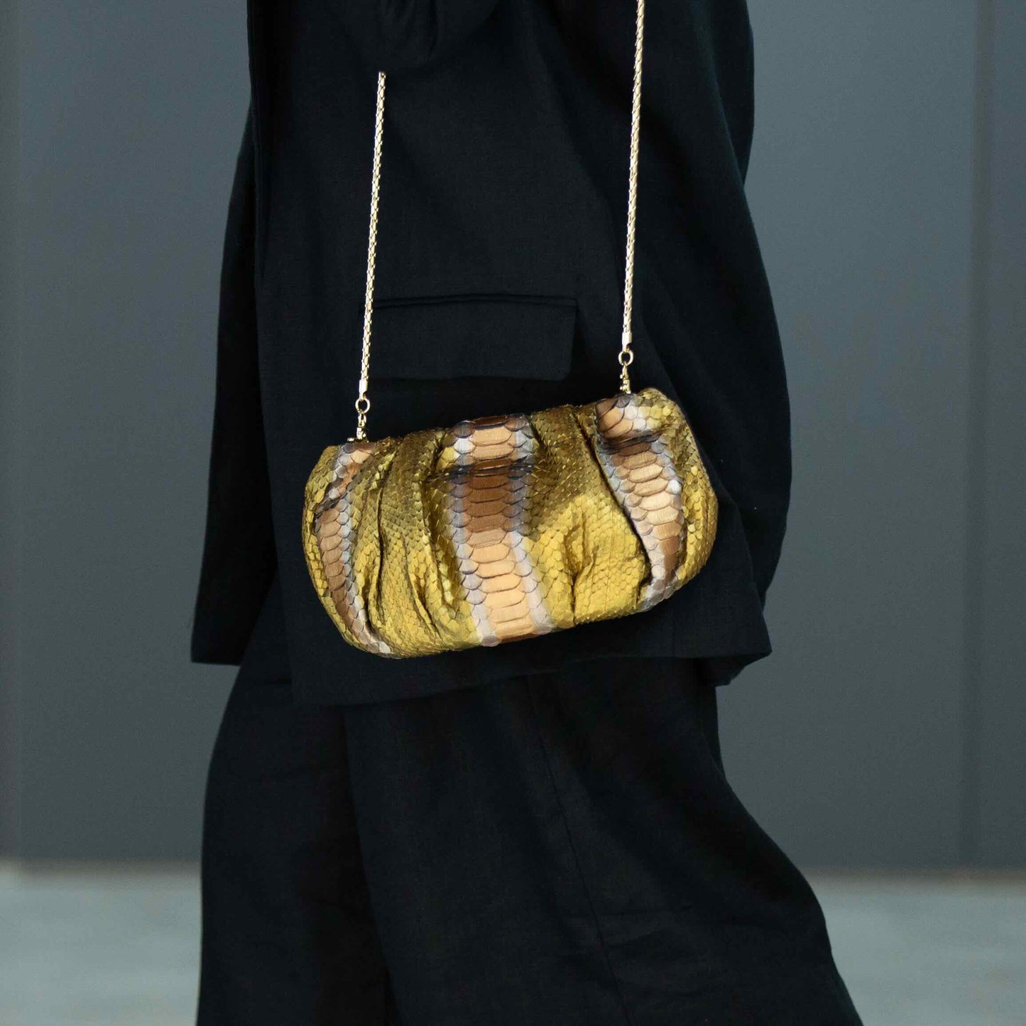 Emperor Gold - Pouch Python