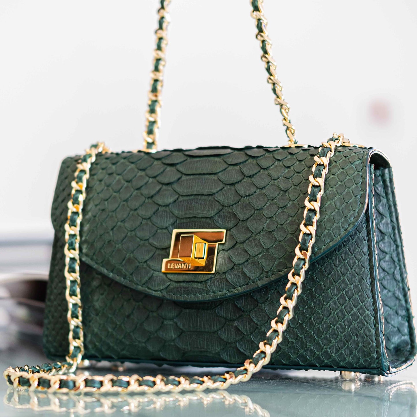 Dark Green - Clutch Python