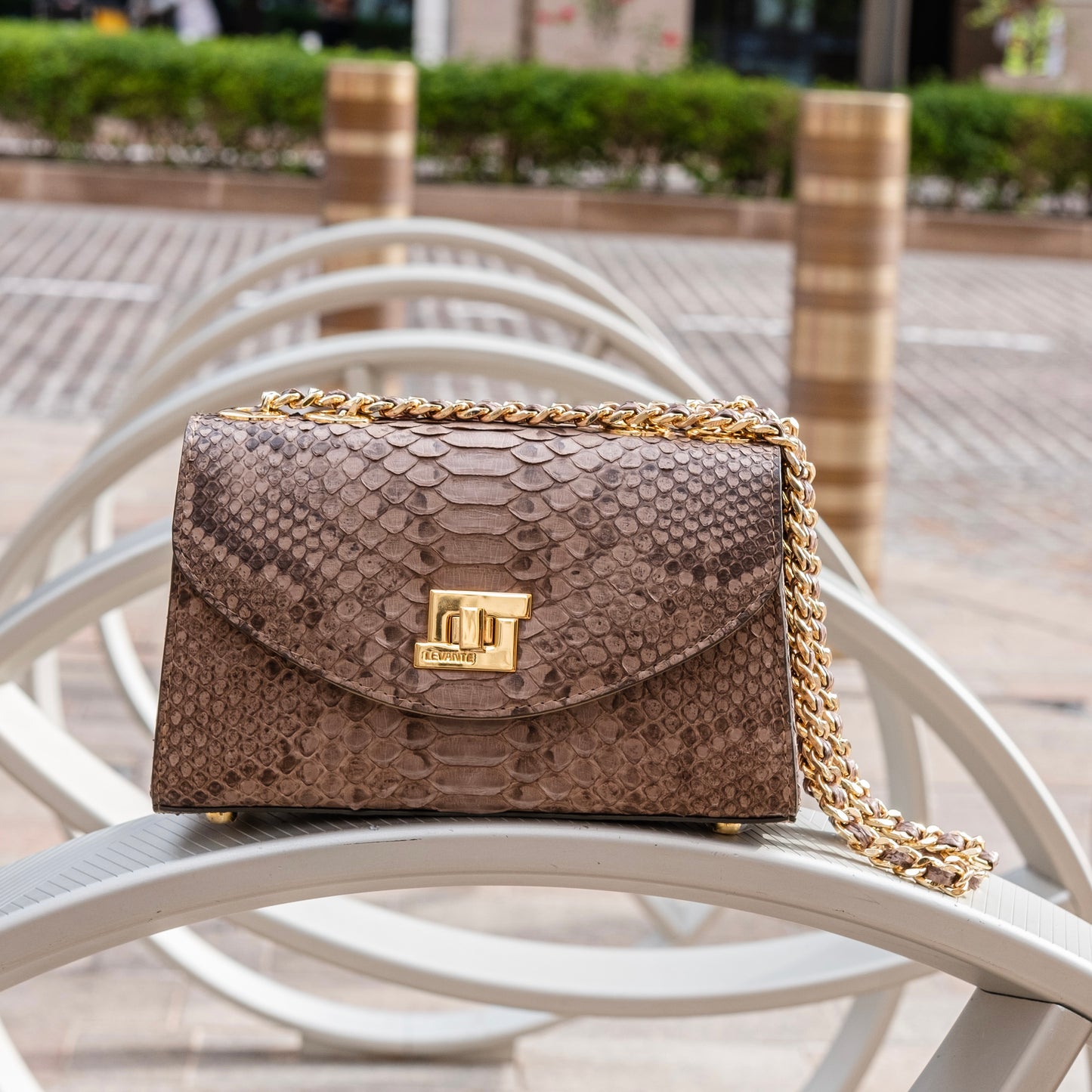 Gray Matt- Clutch Python