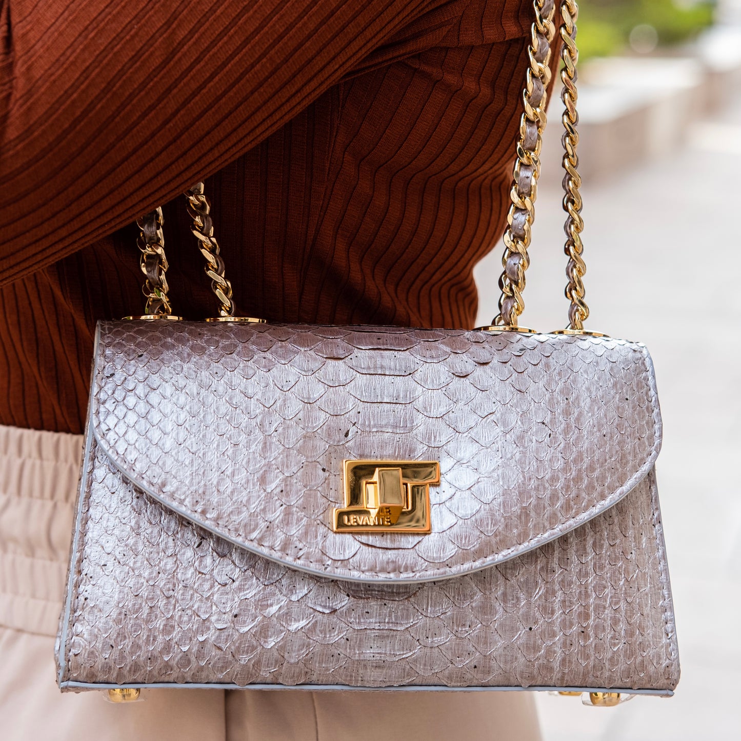 Magic Silver - Clutch Python