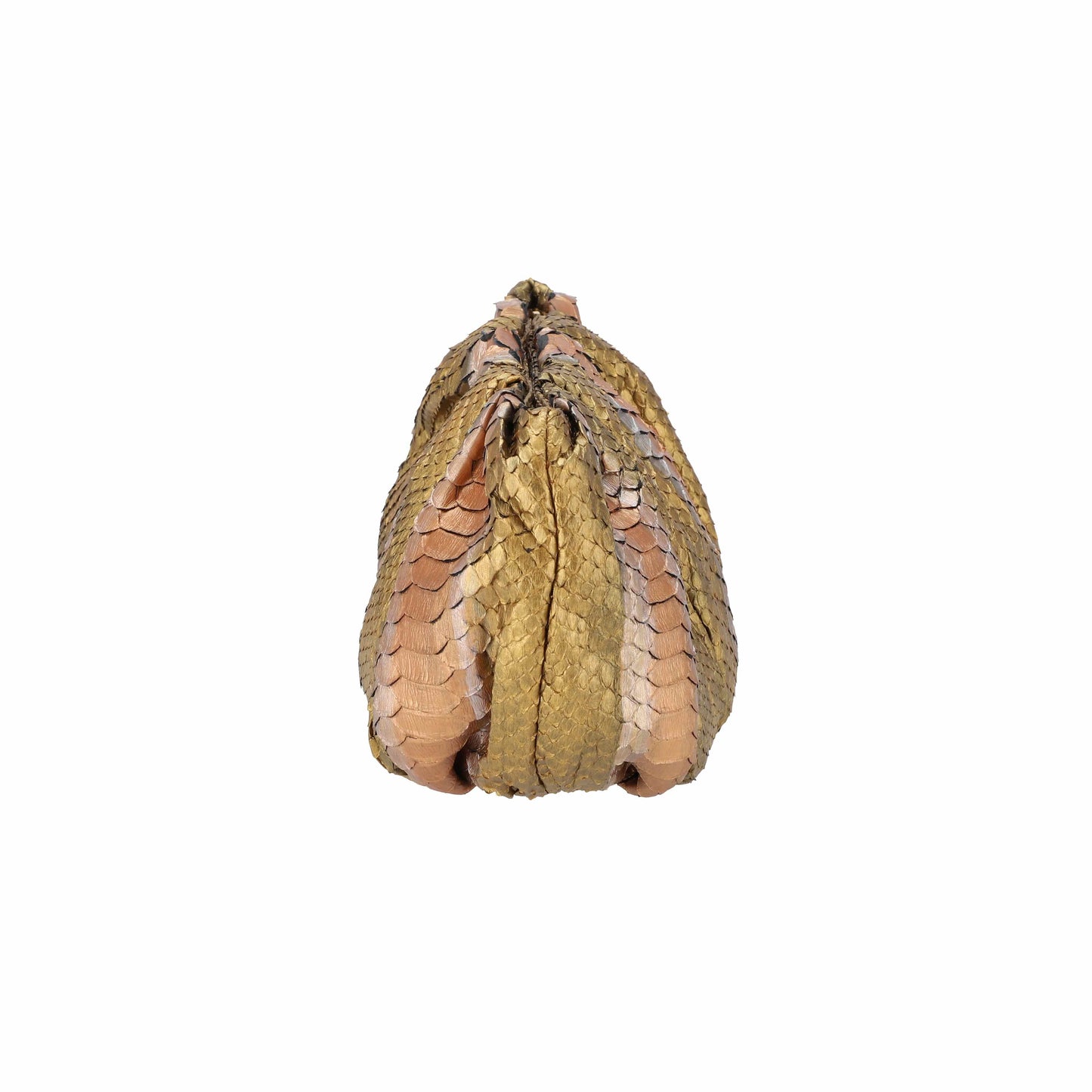 Emperor Gold - Pouch Python