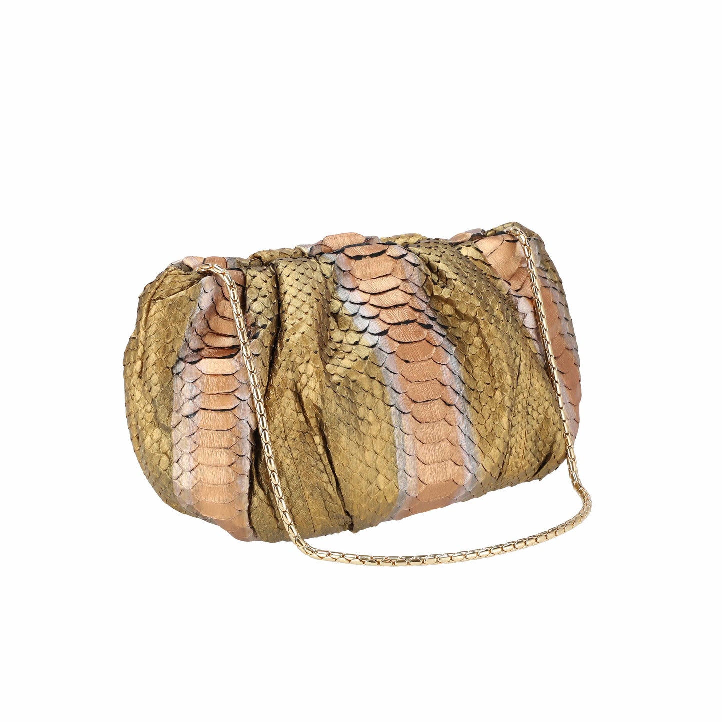Emperor Gold - Pouch Python