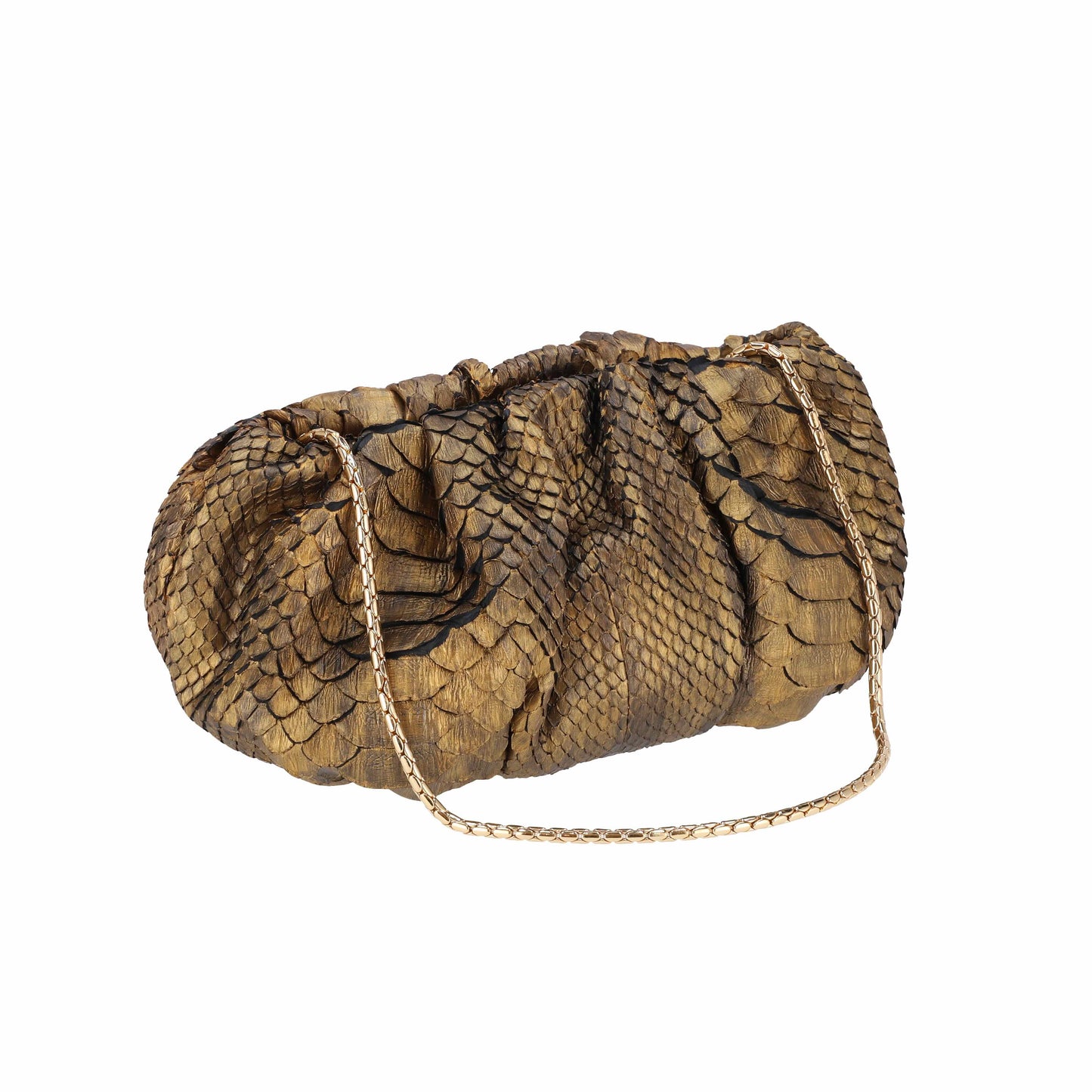 Graphite - Pouch Python