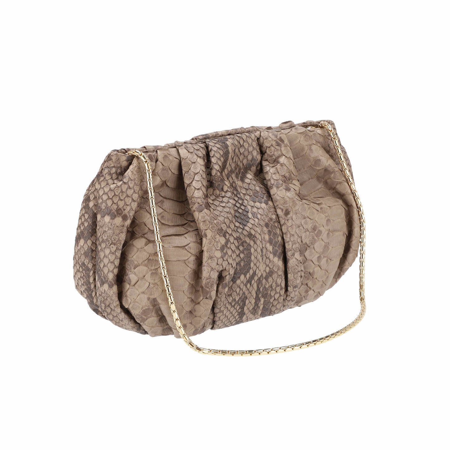 Gray Matt - Pouch Python