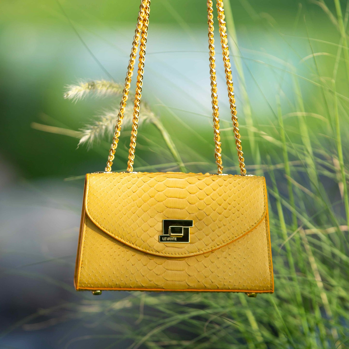 Mustard Yellow - Clutch Python