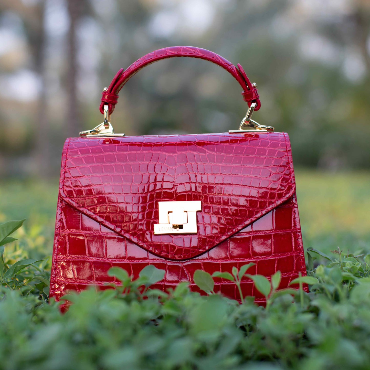Red - Classic Crocodile
