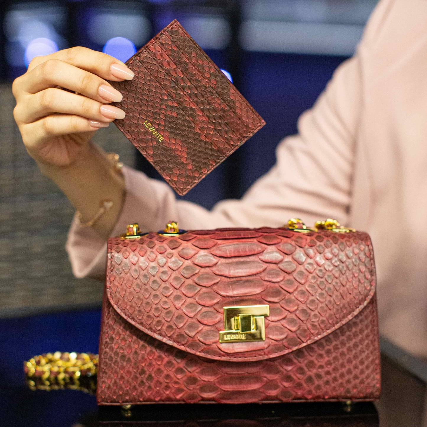 Maroon - Card Holder Python