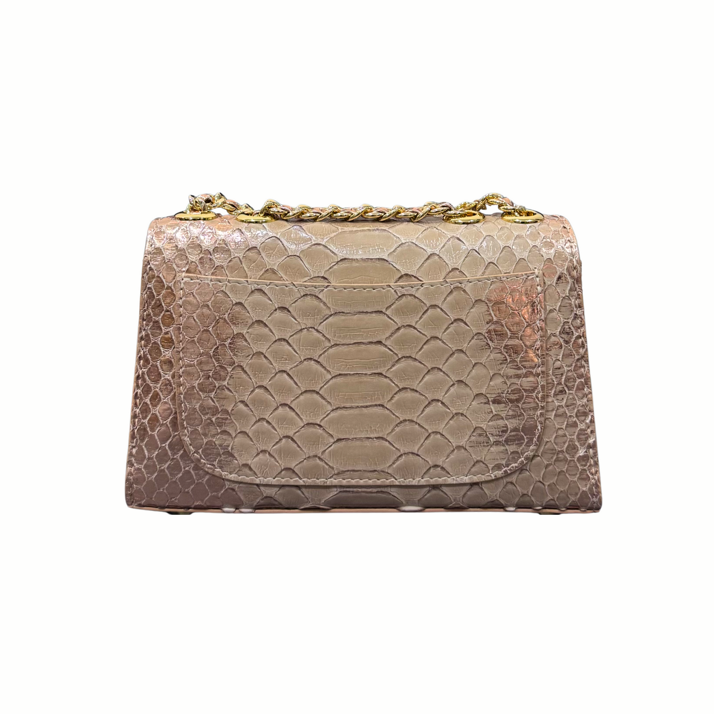 Tresor Taupe Rose - Clutch Python (NEW ARRIVAL)