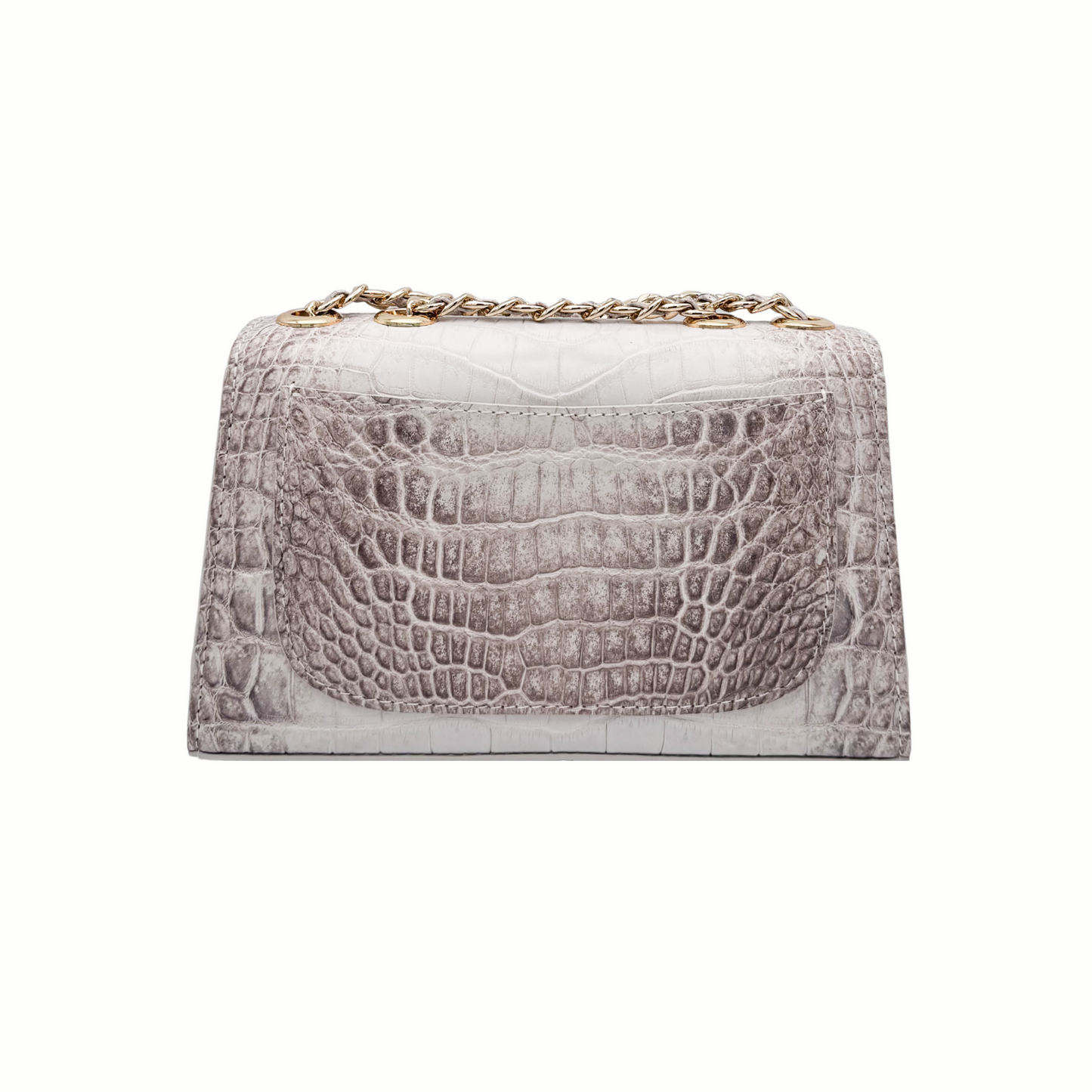 Himalayan- Clutch Crocodile (NEW ARRIVAL)
