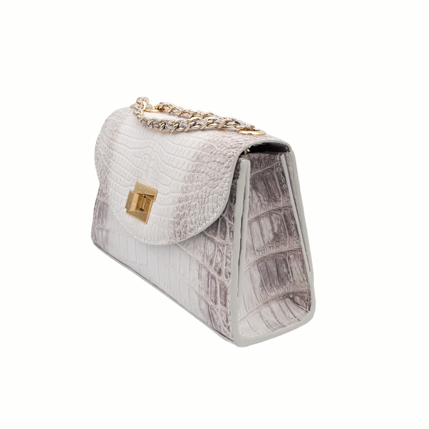Himalayan- Clutch Crocodile (NEW ARRIVAL)