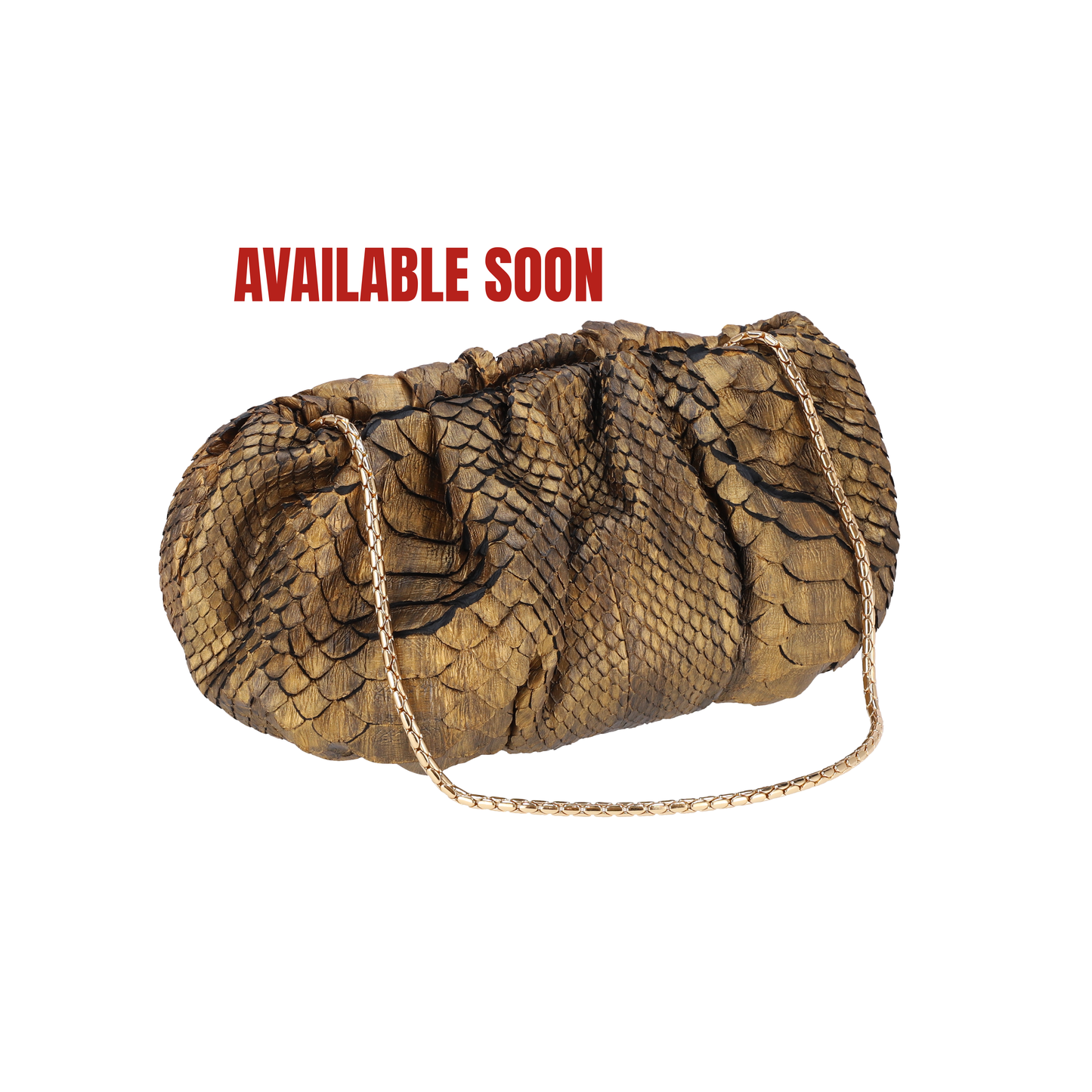 Graphite - Pouch Python