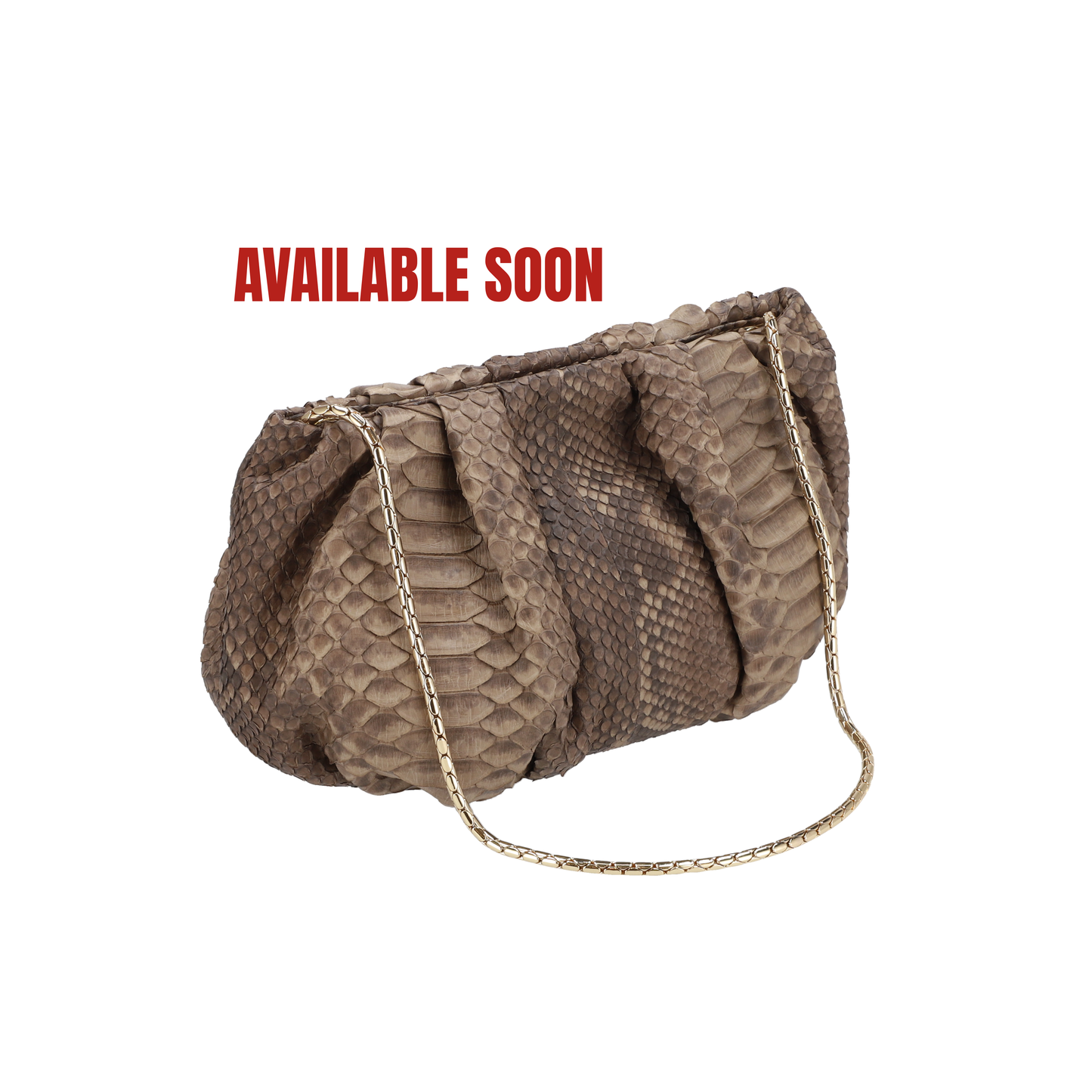Gray Matt - Pouch Python