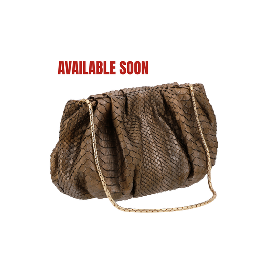 Bronze - Pouch Python